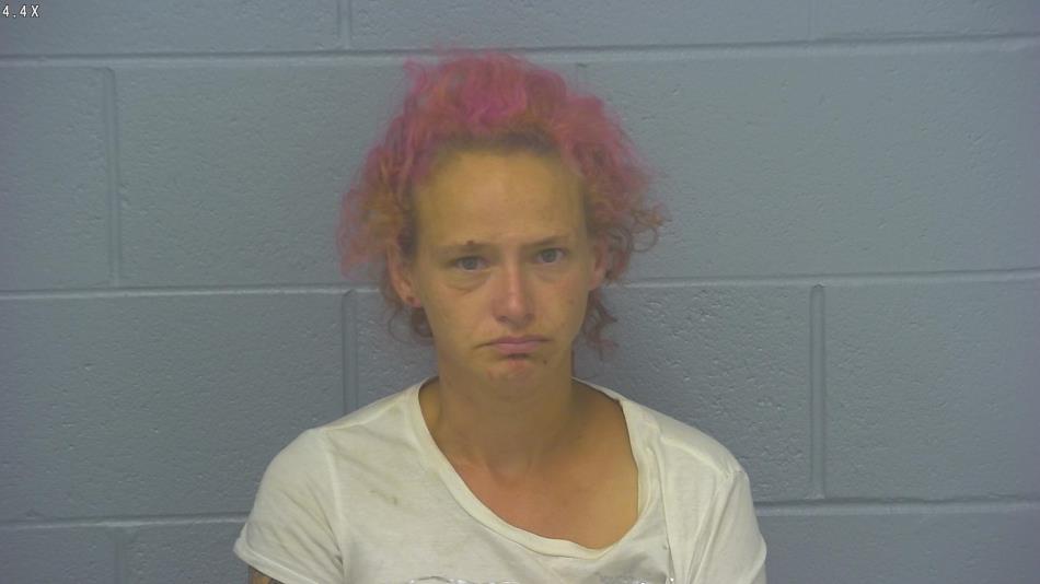 Arrest photo of STEPHANIE VOSE