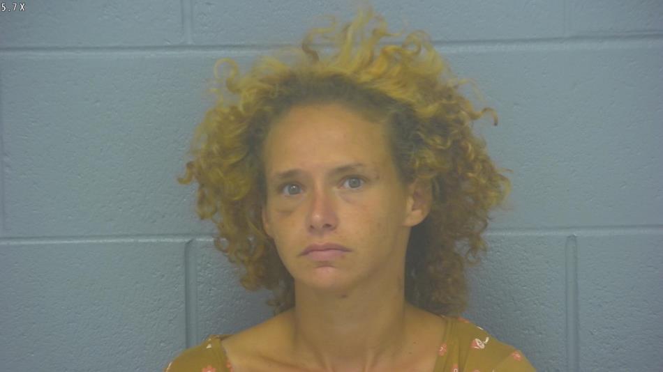 Arrest photo of STEPHANIE VOSE