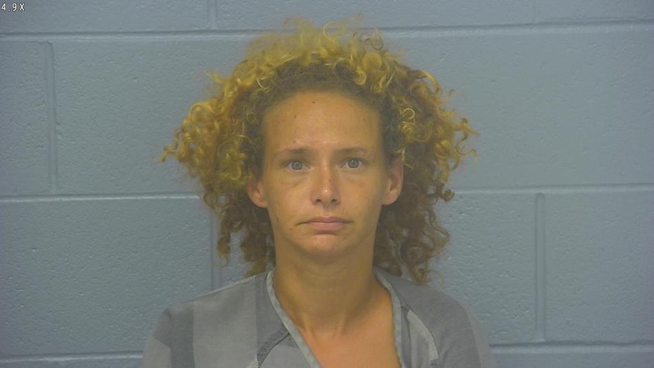 Arrest photo of STEPHANIE VOSE