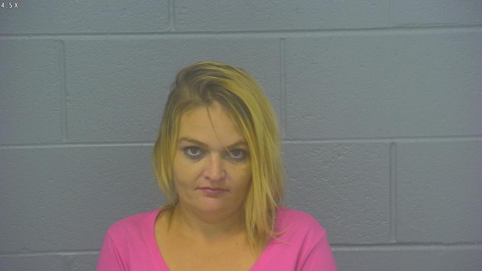 Arrest photo of STEPHANIE JAMES