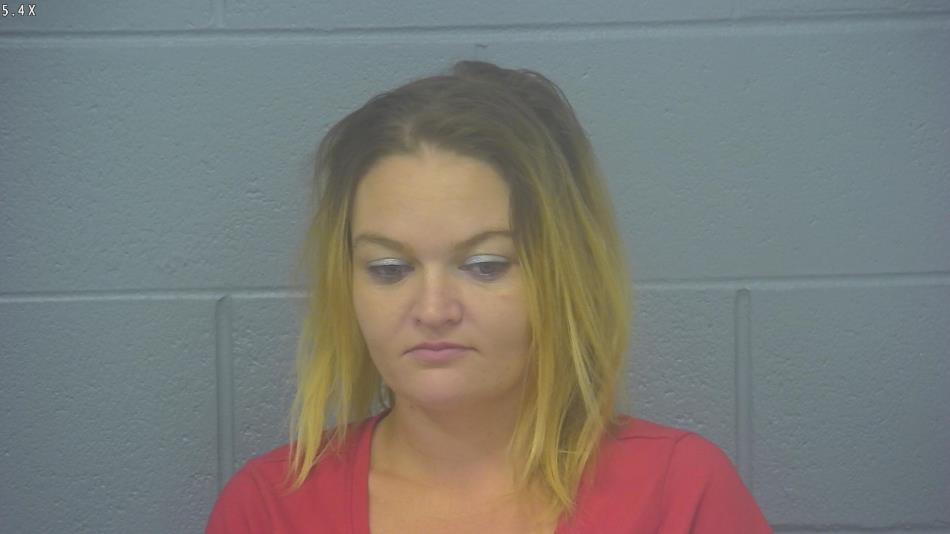 Arrest photo of STEPHANIE JAMES