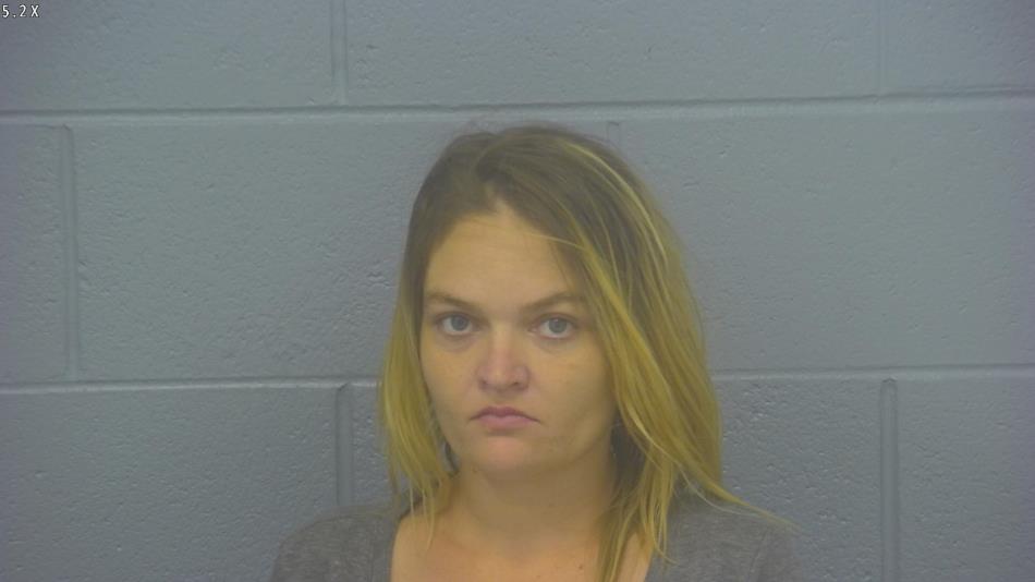 Arrest photo of STEPHANIE JAMES