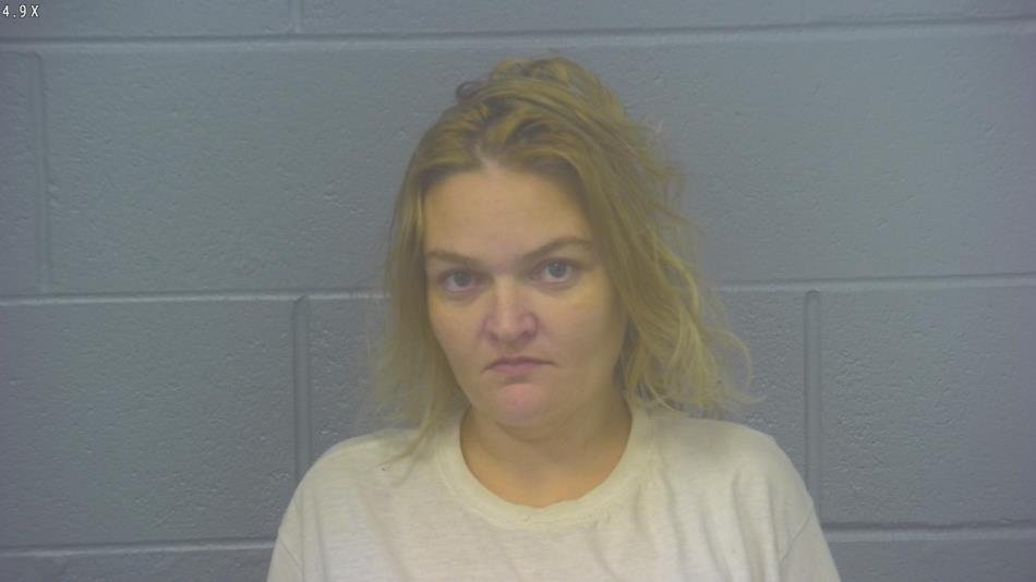 Arrest Photo of STEPHANIE JAMES, arrested on 11/15/2024