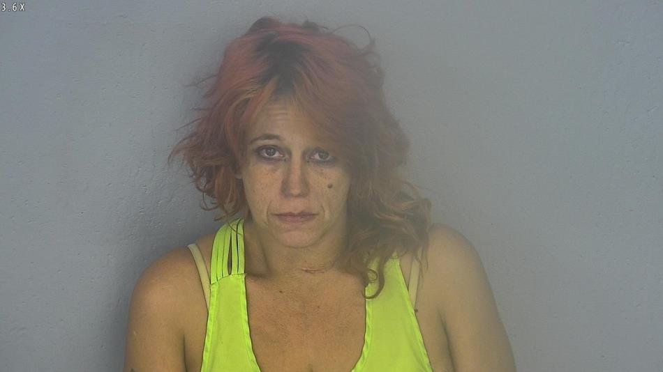Arrest photo of STEPHANIE MCCLEAN
