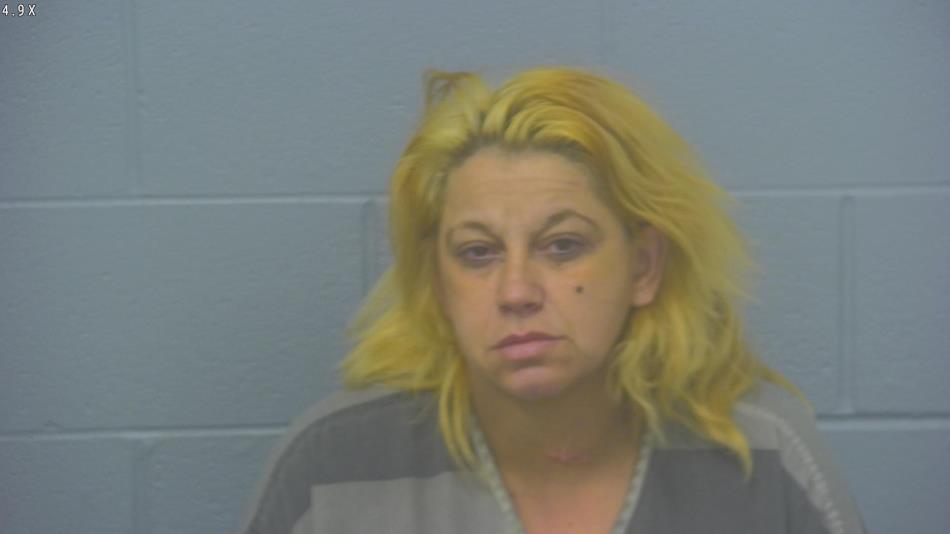 Arrest photo of STEPHANIE WHITED