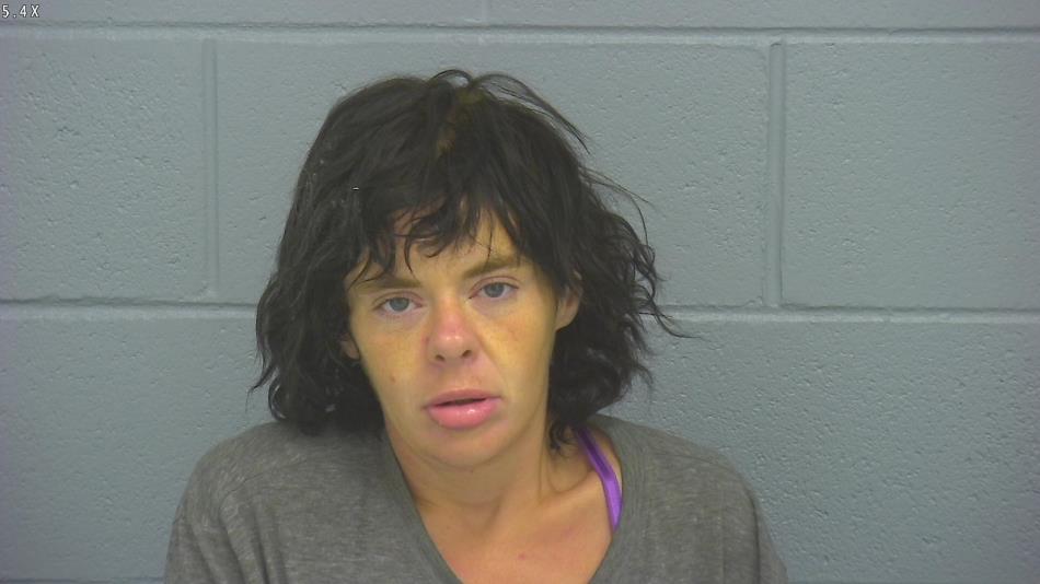 Arrest photo of STEPHANIE CARROLL