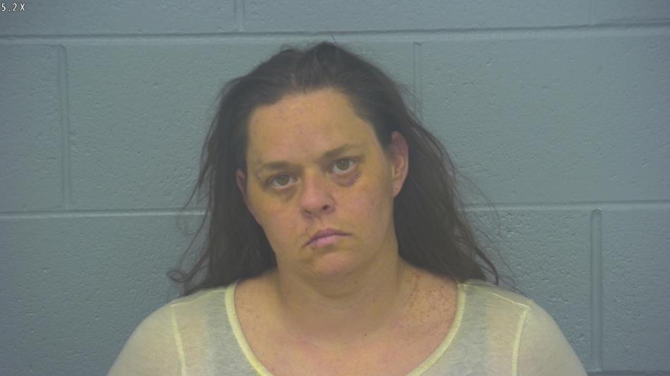 Arrest photo of STEPHANIE STORMENT