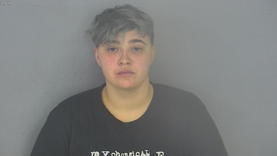 Arrest photo of STEPHANIE DEANDREA