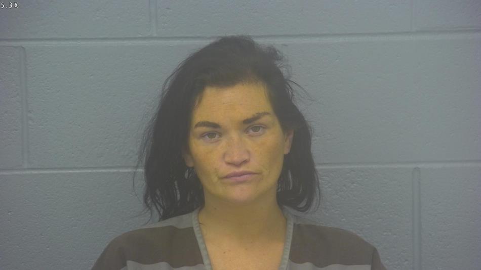 Arrest Photo of STEPHANIE CHASE, arrested on 11/25/2024