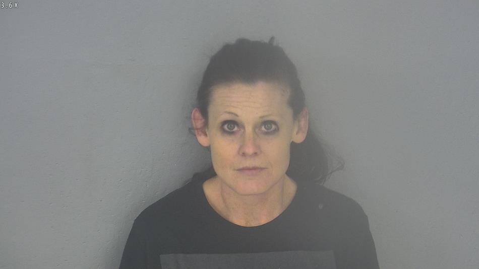 Arrest photo of STEPHANIE VISE