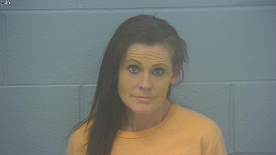 Arrest Photo of STEPHANIE VISE, arrested on 3/13/2024