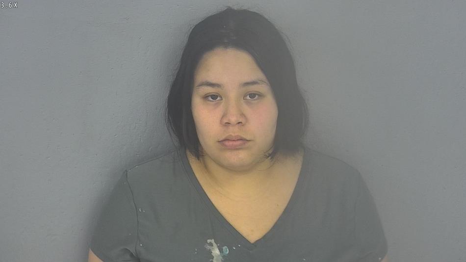 Arrest photo of STEPHANIE HERNANDEZ