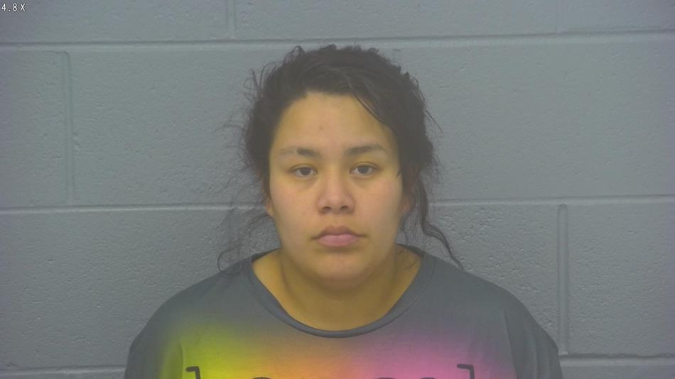 Arrest photo of STEPHANIE HERNANDEZ