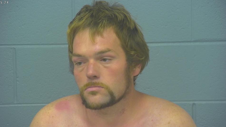 Arrest photo of STEPHEN WHITE