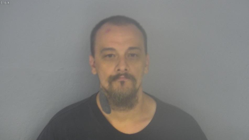 Arrest photo of STEVEN STEELE