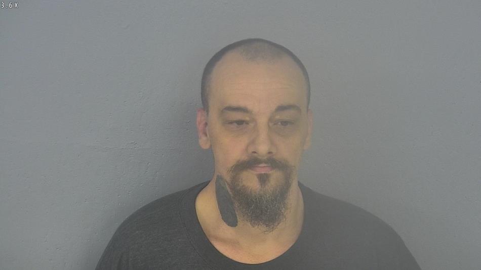 Arrest photo of STEVEN STEELE