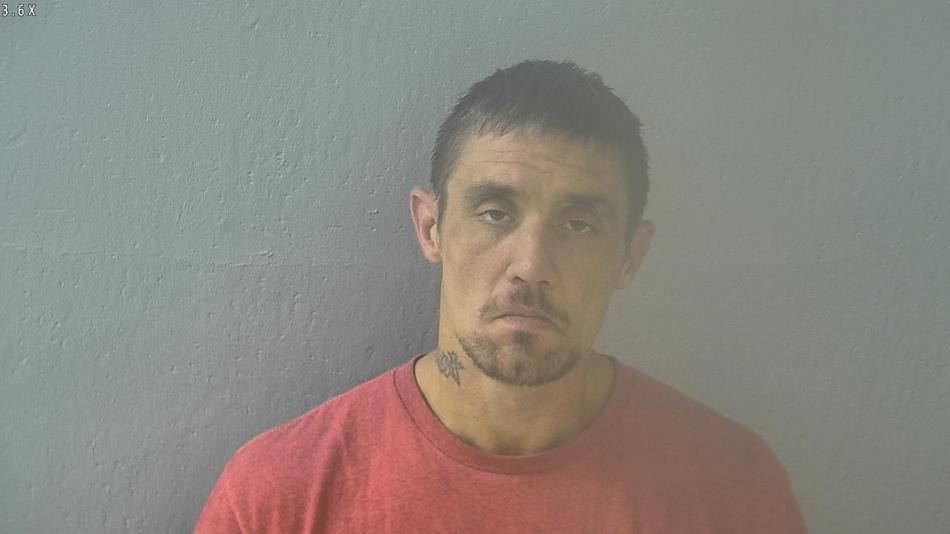 Arrest photo of STEVEN WRINKLE