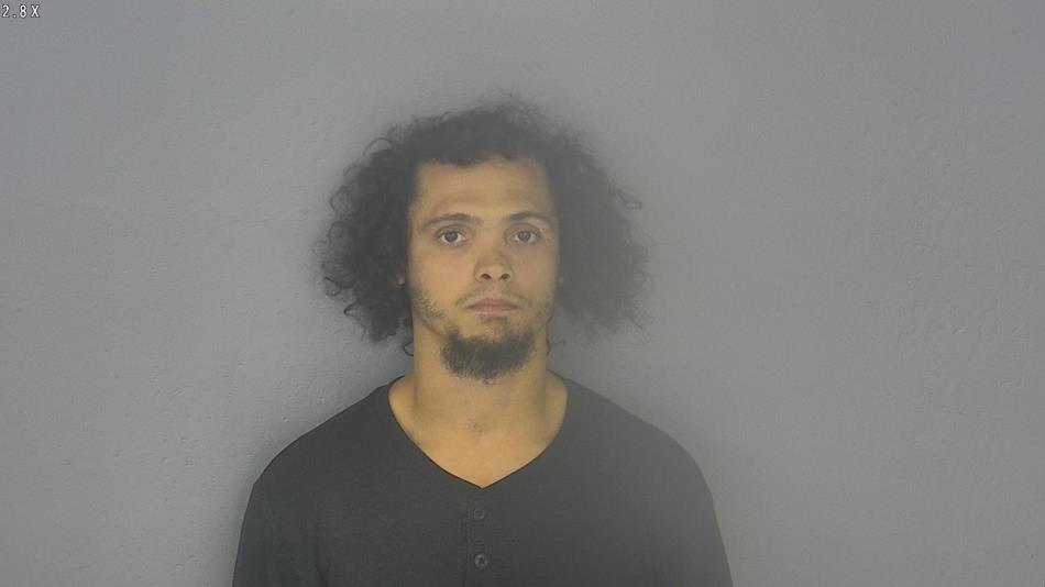 Arrest photo of STEVEN SPRINGER