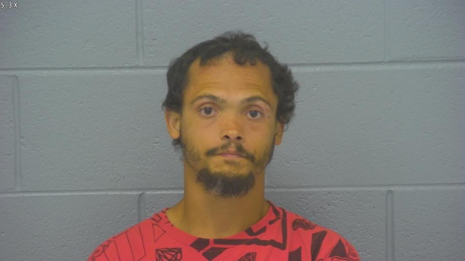 Arrest photo of STEVEN SPRINGER
