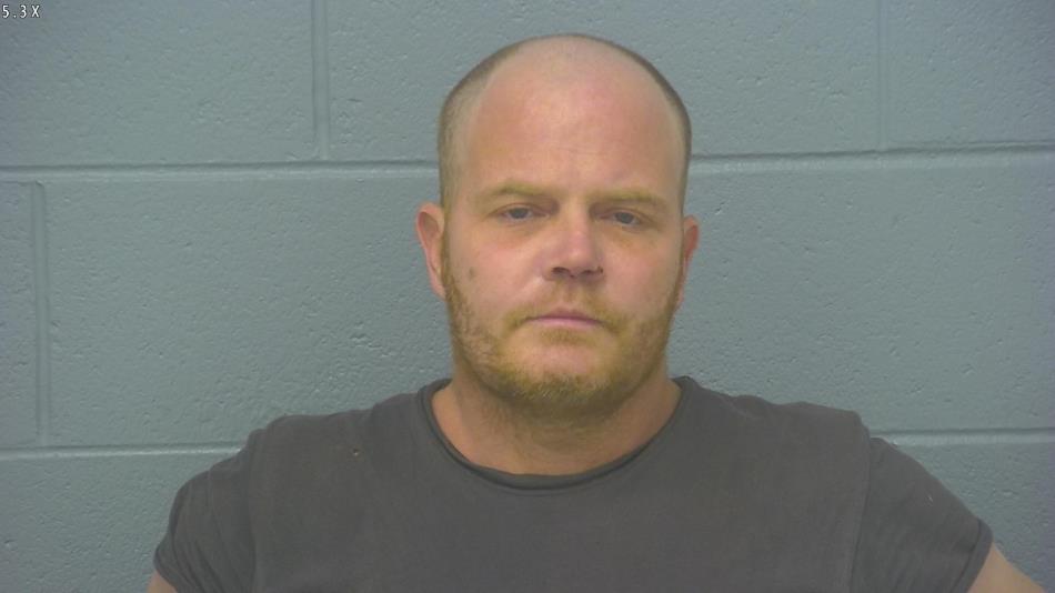 Arrest photo of STEVEN JOHNSON