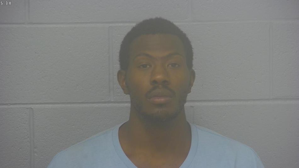 Arrest photo of STEVEN COLLINS