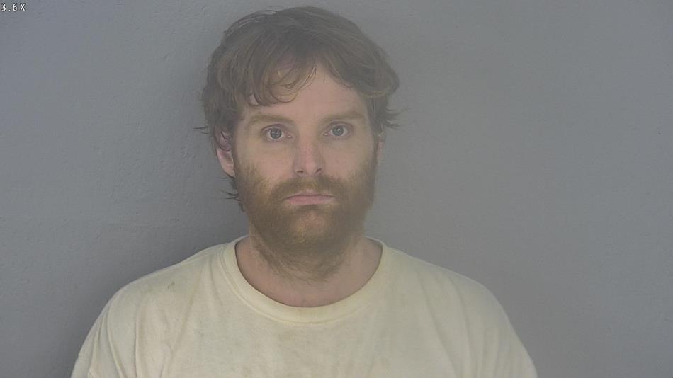 Arrest photo of STEVEN WILSON