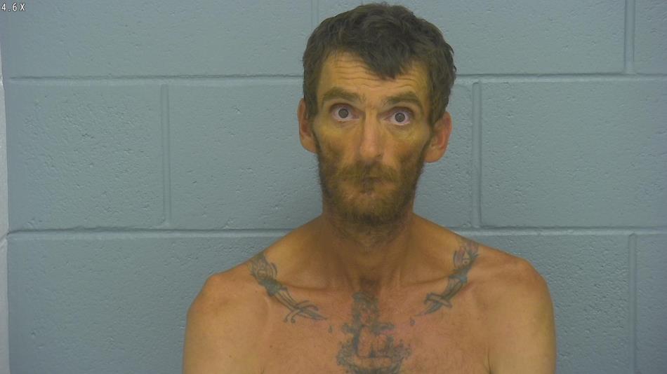 Arrest photo of STEVEN BALL