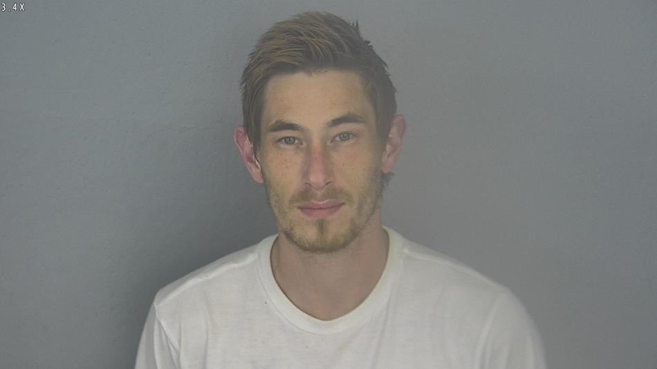 Arrest photo of STEVEN JANK