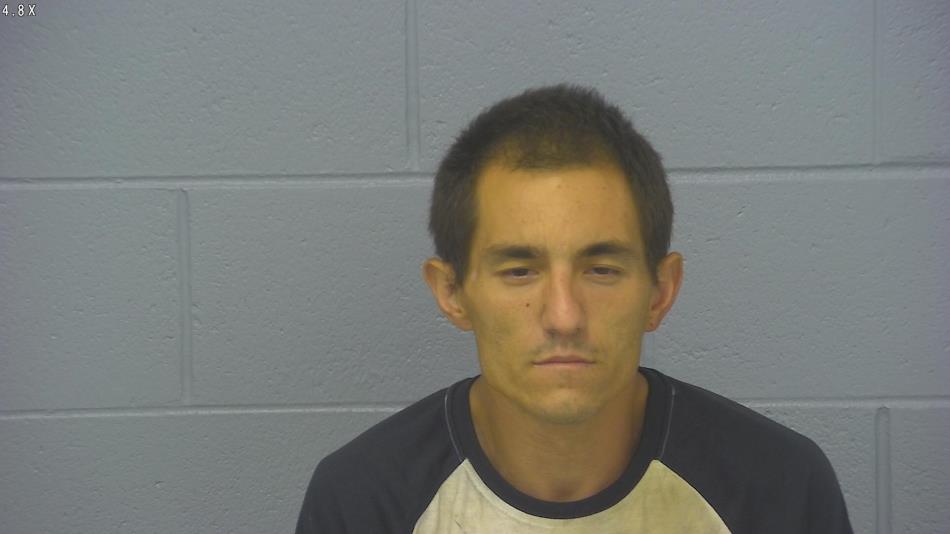 Arrest photo of STINSON LEPPLA