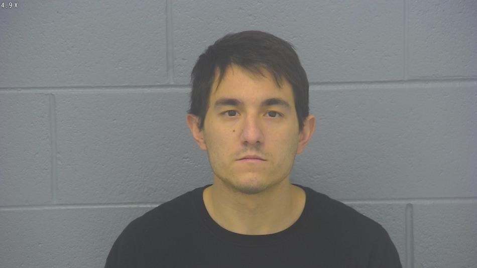 Arrest photo of STINSON LEPPLA