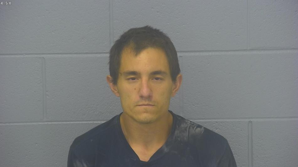 Arrest photo of STINSON LEPPLA