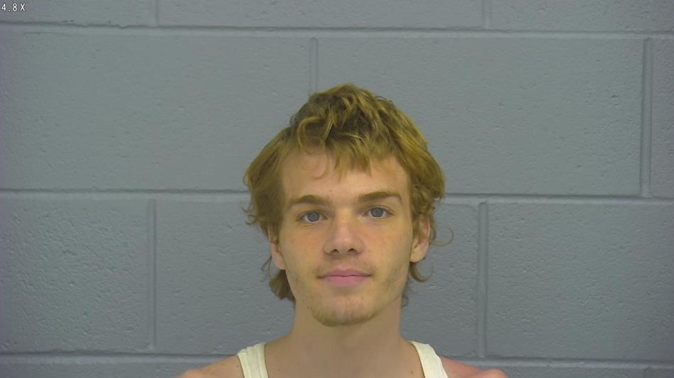 Arrest photo of STONE RYDER