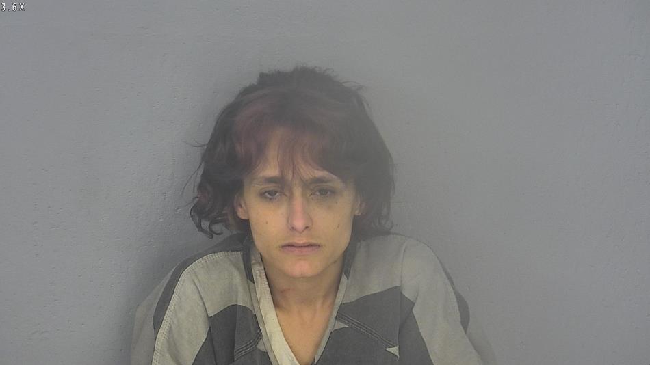 Arrest photo of SUZANNE HEDRICK