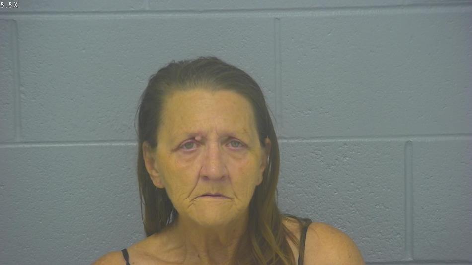 Arrest photo of SUZANNE CARROLL