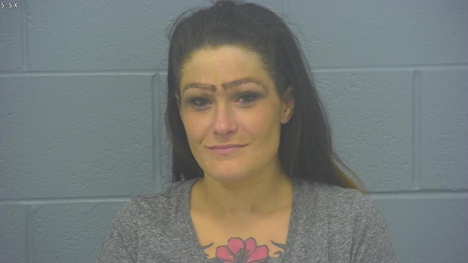 Arrest photo of SYNTHIA NICKLE