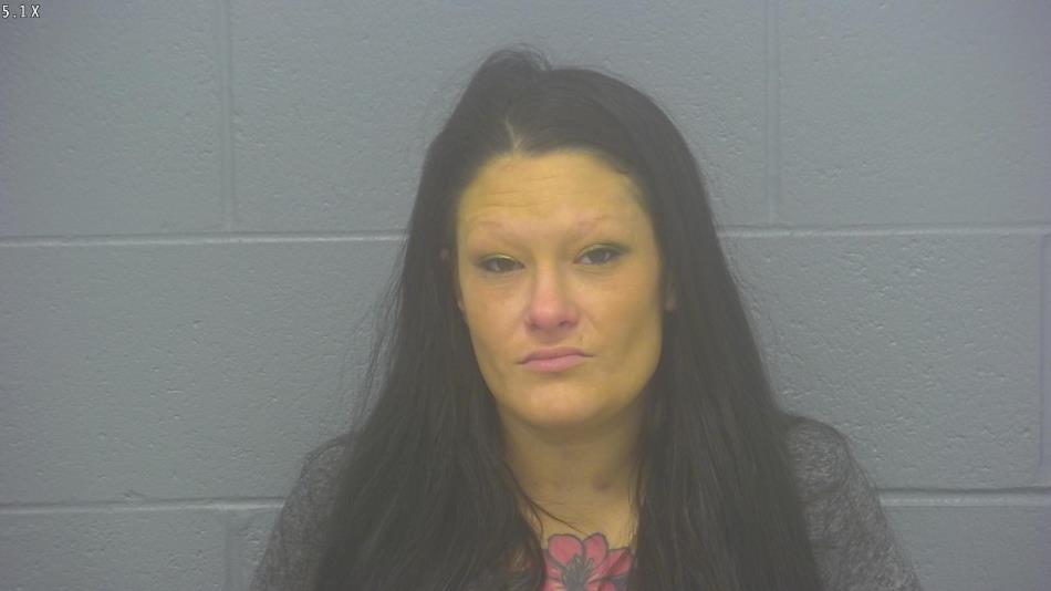 Arrest photo of SYNTHIA NICKLE