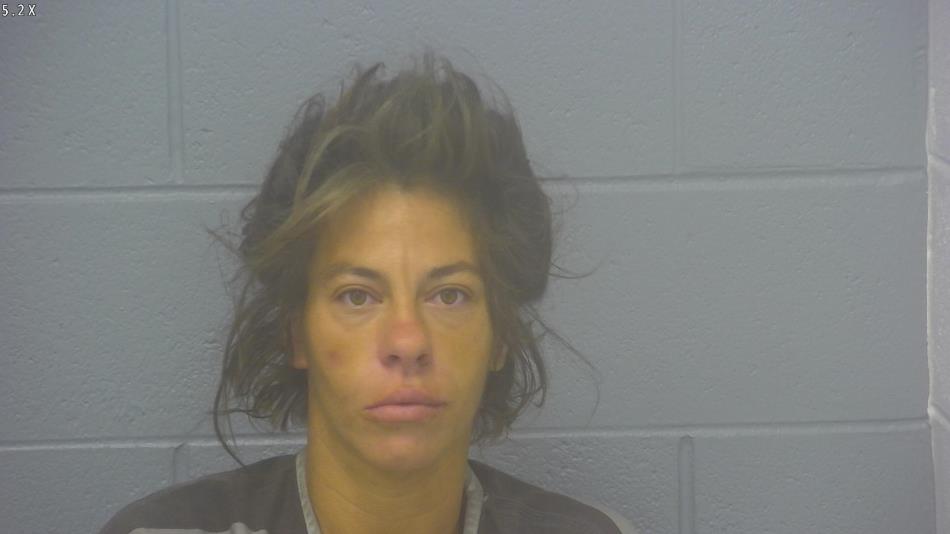 Arrest photo of TAMEKA HUTCHISON