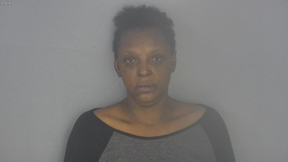 Arrest photo of TAMMIE HOLLEY
