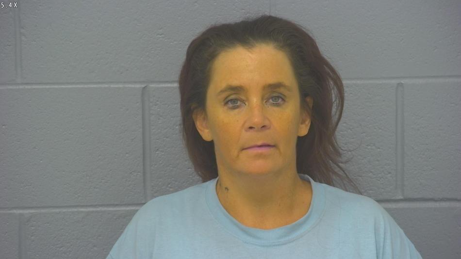 Arrest photo of TAMMY BURCH