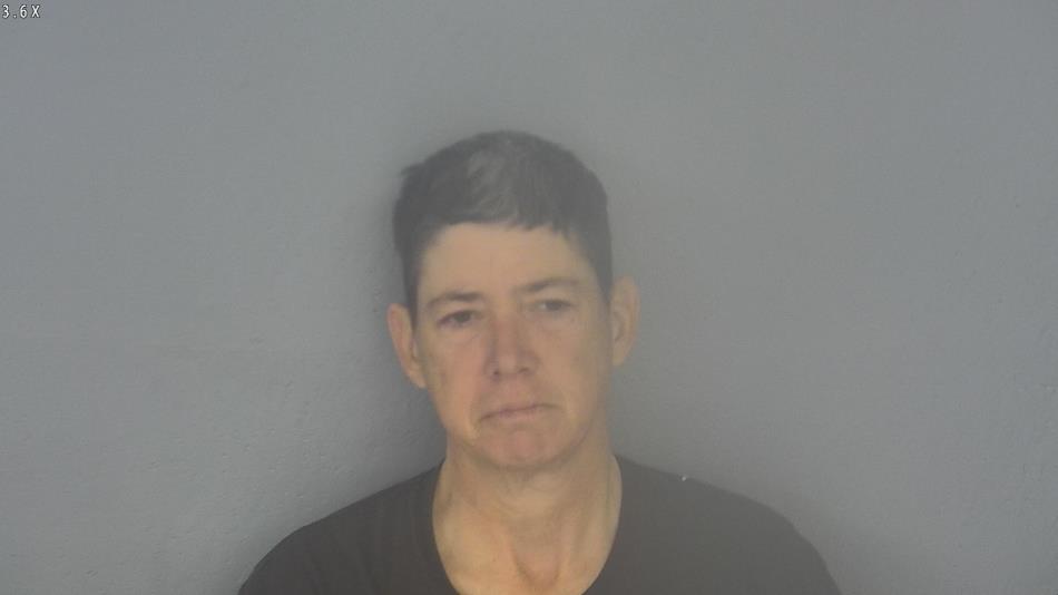 Arrest photo of TAMMY FRIZZELL