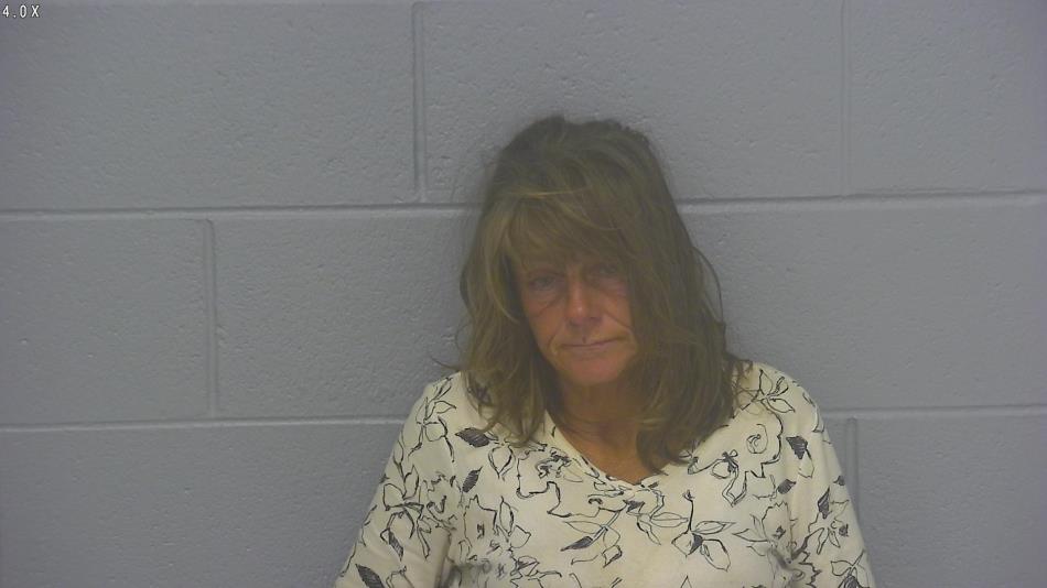 Arrest photo of TAMMY HILLGARDNER