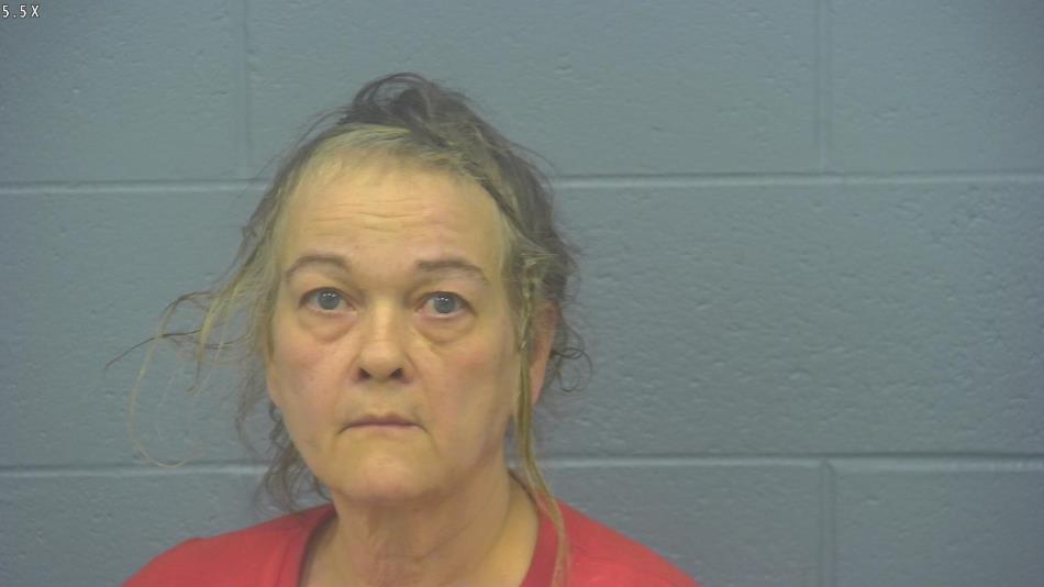 Arrest photo of TAMSEN SMELSER