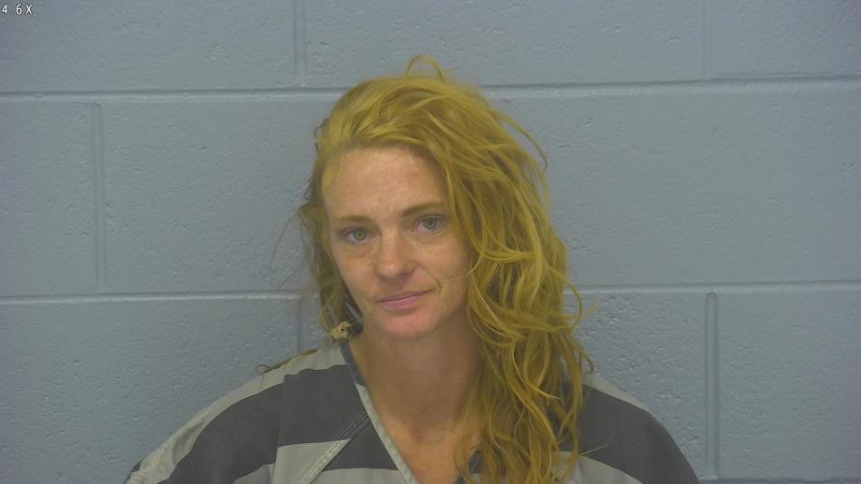Arrest photo of TANDI MCELDERRY