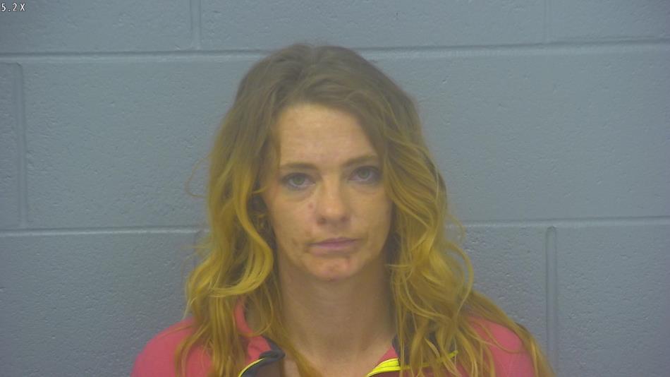 Arrest photo of TANDI MCELDERRY