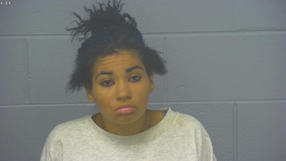 Arrest photo of TANESHA  HICKS