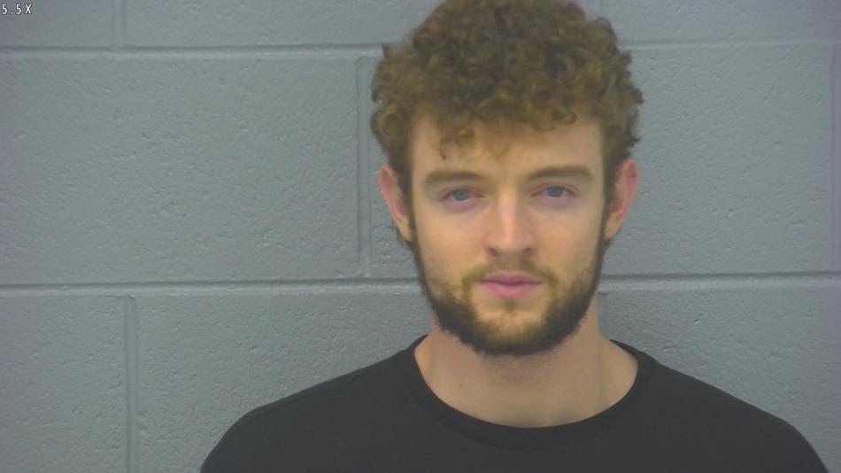 Arrest photo of TANNER HENRY