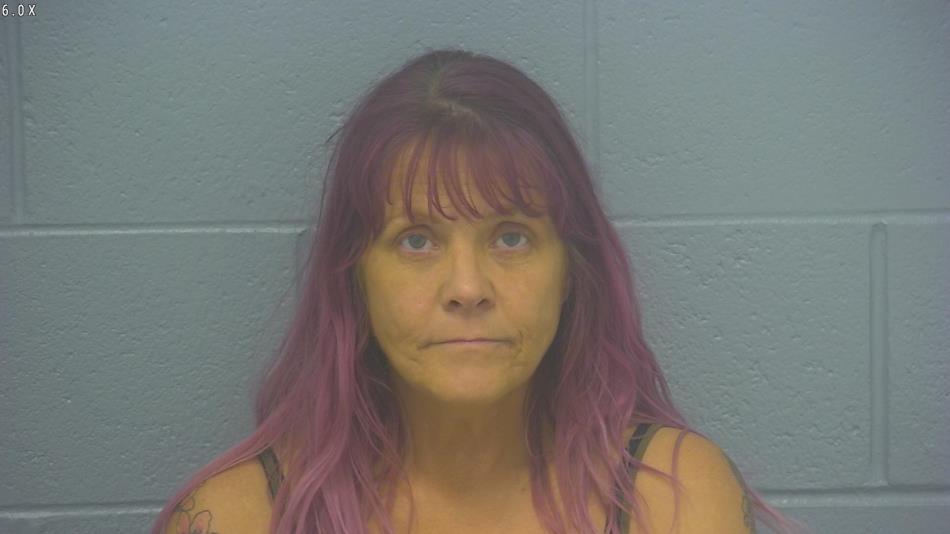 Arrest photo of TANYA WILLIAMS