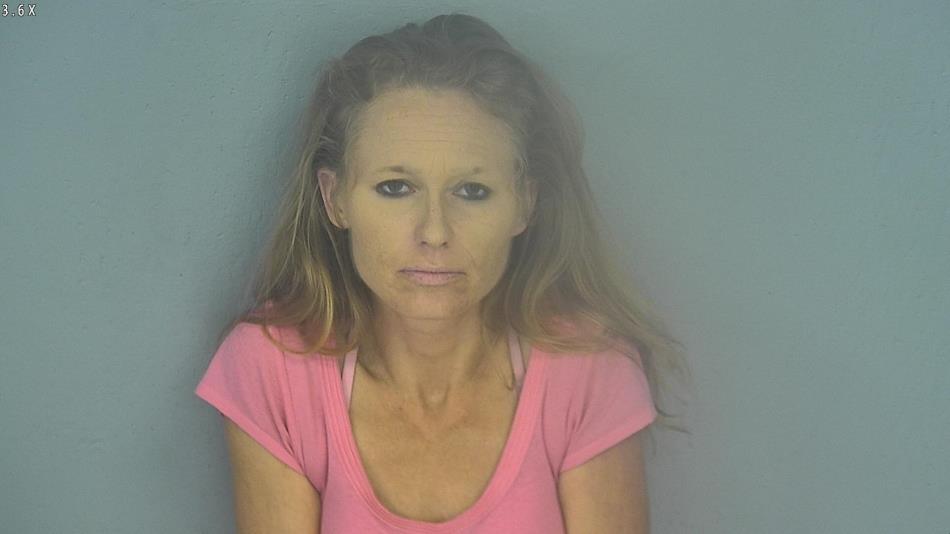 Arrest photo of TANYA LITTLE