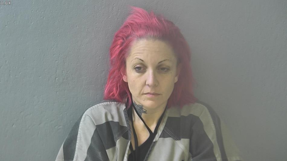 Arrest photo of TARA TURNER