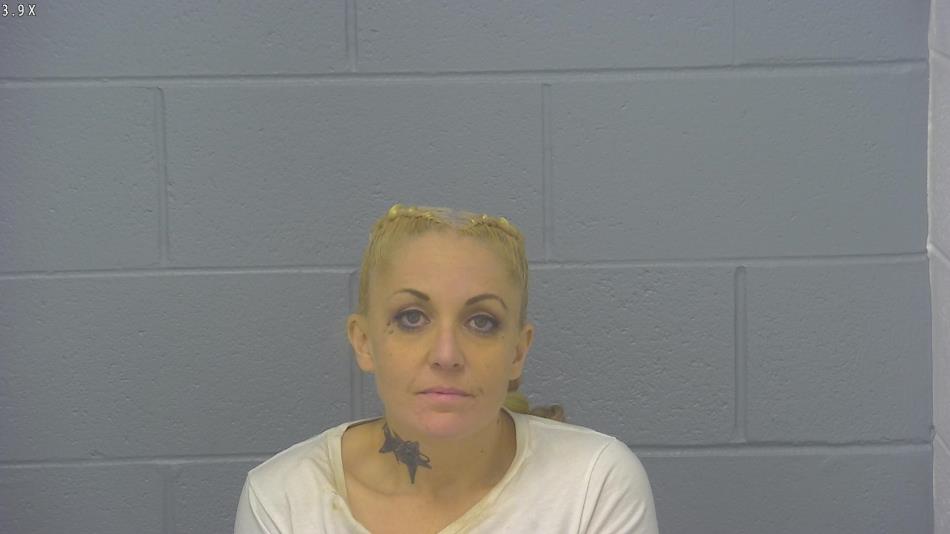 Arrest photo of TARA TURNER